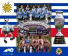 Uruguay vs Paraguay. Final Copa Amerika Arjantin 2011. 24 Temmuz Stadyum Monumental, Buenos Aires